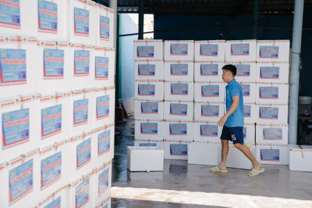 ĐÓNG GÓI BAO BÌ TÔM GIỐNG