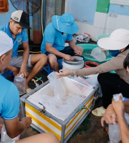 ĐÓNG GÓI BAO BÌ TÔM GIỐNG