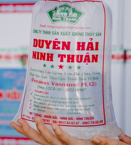 ĐÓNG GÓI BAO BÌ TÔM GIỐNG