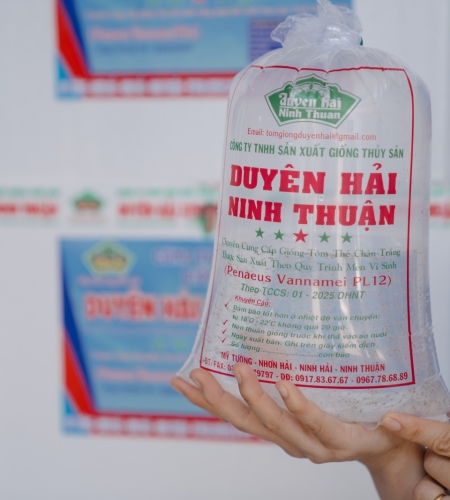 ĐÓNG GÓI TÔM GIỐNG