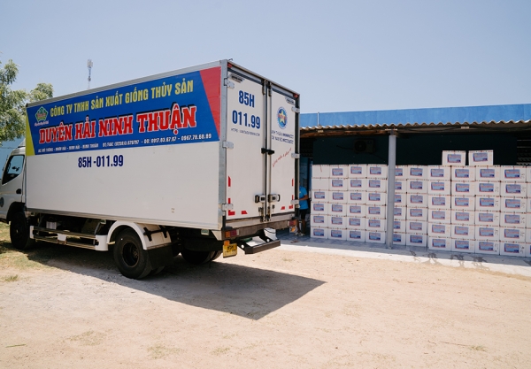 VẬN CHUYỂN TÔM GIỐNG ĐẾN CHO KHÁCH HÀNG