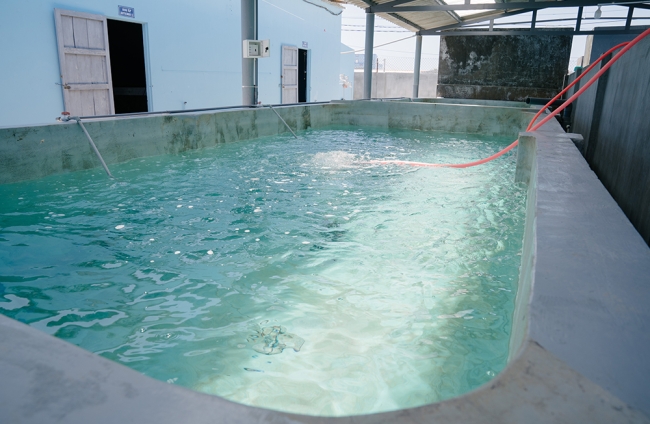 KHU TRẠI TÔM GIỐNG- KHU 2